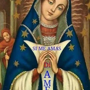 Meet your Posher, Carol